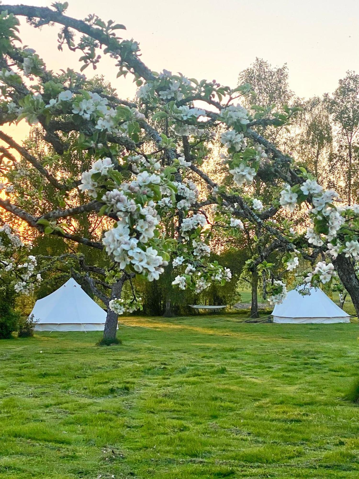 Отель Soerby Glamping Klockrike Экстерьер фото